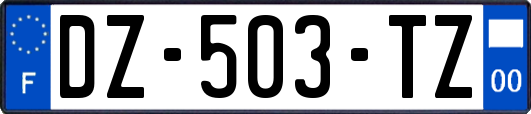 DZ-503-TZ