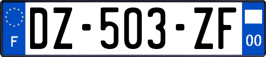 DZ-503-ZF