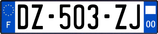 DZ-503-ZJ