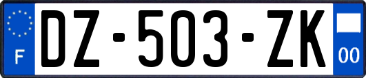 DZ-503-ZK