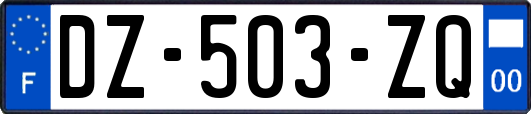 DZ-503-ZQ