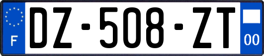 DZ-508-ZT