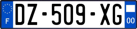 DZ-509-XG