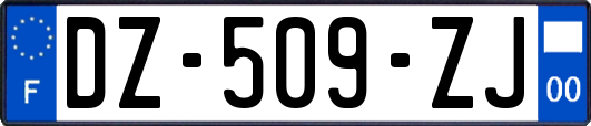 DZ-509-ZJ