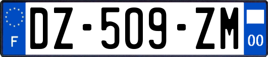 DZ-509-ZM