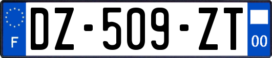 DZ-509-ZT