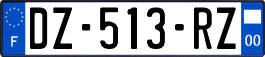 DZ-513-RZ