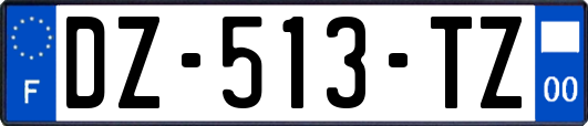 DZ-513-TZ