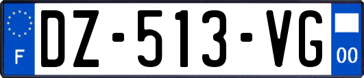 DZ-513-VG