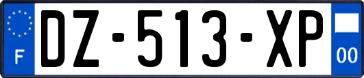 DZ-513-XP