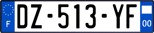 DZ-513-YF