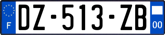 DZ-513-ZB