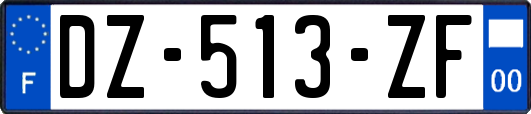 DZ-513-ZF