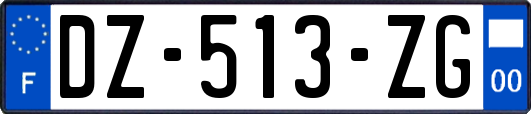 DZ-513-ZG