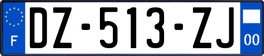 DZ-513-ZJ