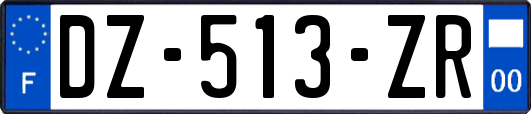 DZ-513-ZR