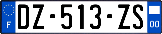 DZ-513-ZS