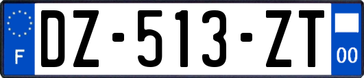 DZ-513-ZT