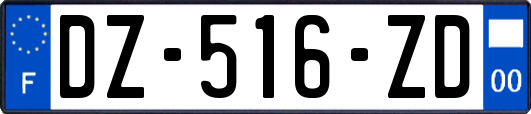 DZ-516-ZD