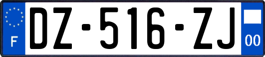 DZ-516-ZJ