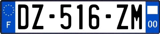 DZ-516-ZM