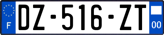 DZ-516-ZT