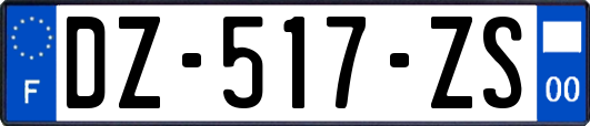 DZ-517-ZS