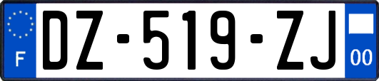 DZ-519-ZJ