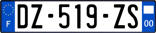 DZ-519-ZS