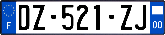 DZ-521-ZJ