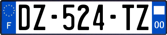 DZ-524-TZ