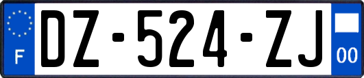 DZ-524-ZJ