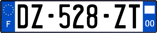 DZ-528-ZT