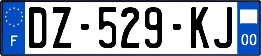 DZ-529-KJ