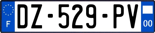 DZ-529-PV