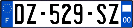 DZ-529-SZ