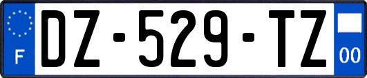 DZ-529-TZ