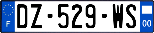 DZ-529-WS