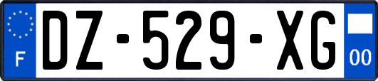 DZ-529-XG