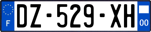 DZ-529-XH