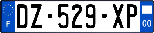 DZ-529-XP