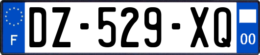 DZ-529-XQ