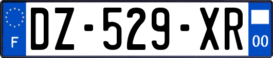 DZ-529-XR