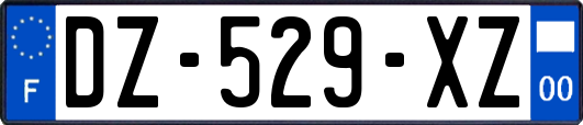 DZ-529-XZ