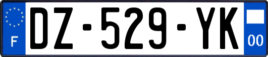 DZ-529-YK