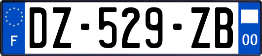 DZ-529-ZB