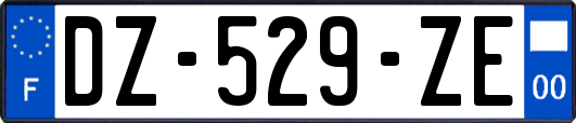 DZ-529-ZE