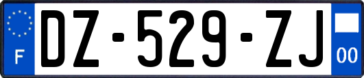 DZ-529-ZJ