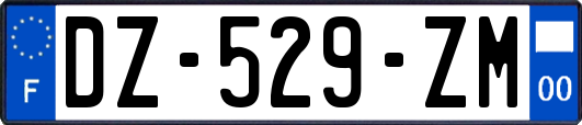 DZ-529-ZM