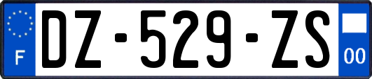 DZ-529-ZS